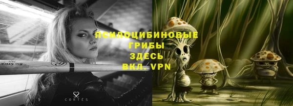 гидра Касимов