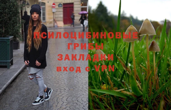 наркотики Карпинск