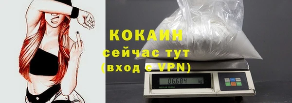 гидра Касимов