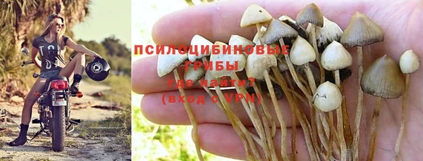 гидра Касимов